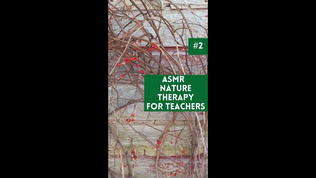ASMR Nature Therapy For Teachers Bittersweet #shorts