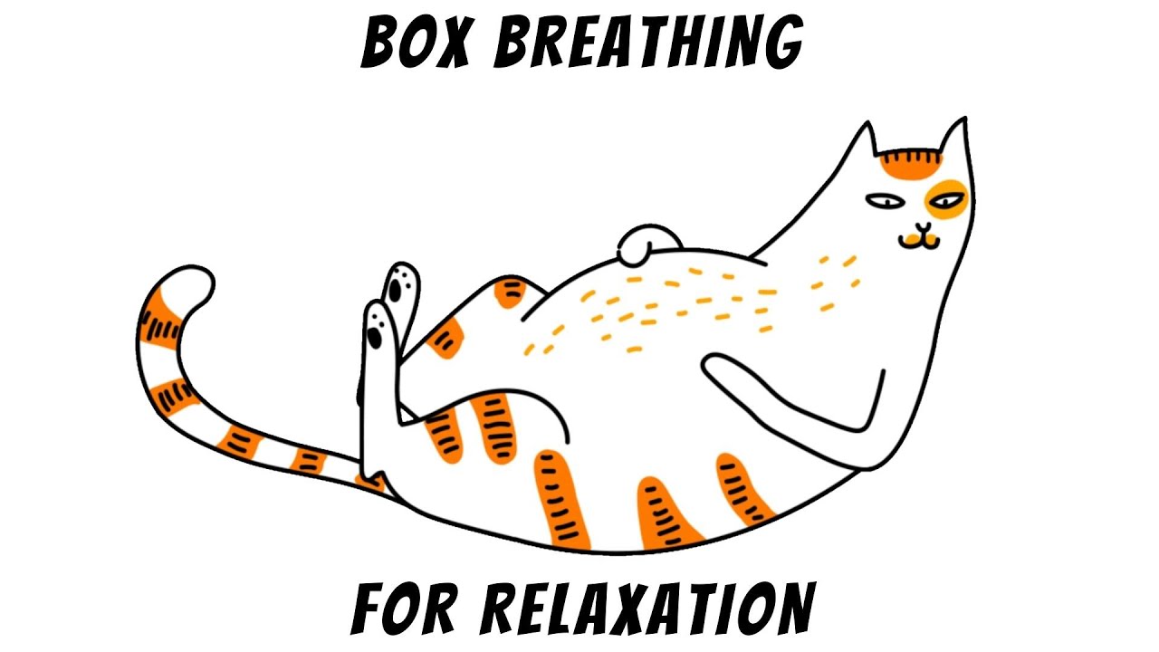 Box Breathing Relaxation Exercise Cat Educational SEL Classroom Activity & Free PDF Handout