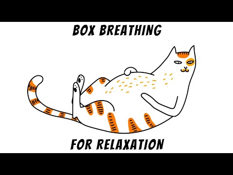 Box Breathing Relaxation Exercise Cat Educational SEL Classroom Activity & Free PDF Handout