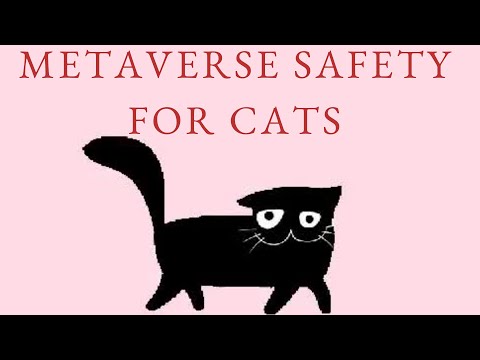 How Can We Make The Metaverse Safe for Cats?