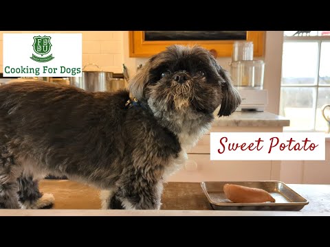 Cooking School For Dogs: Sweet Potato