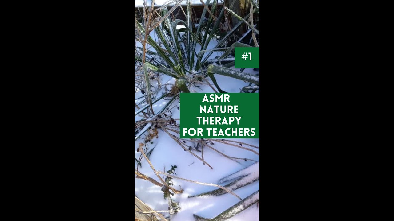 ASMR Nature Therapy for Teachers: Adam's Needle #shorts