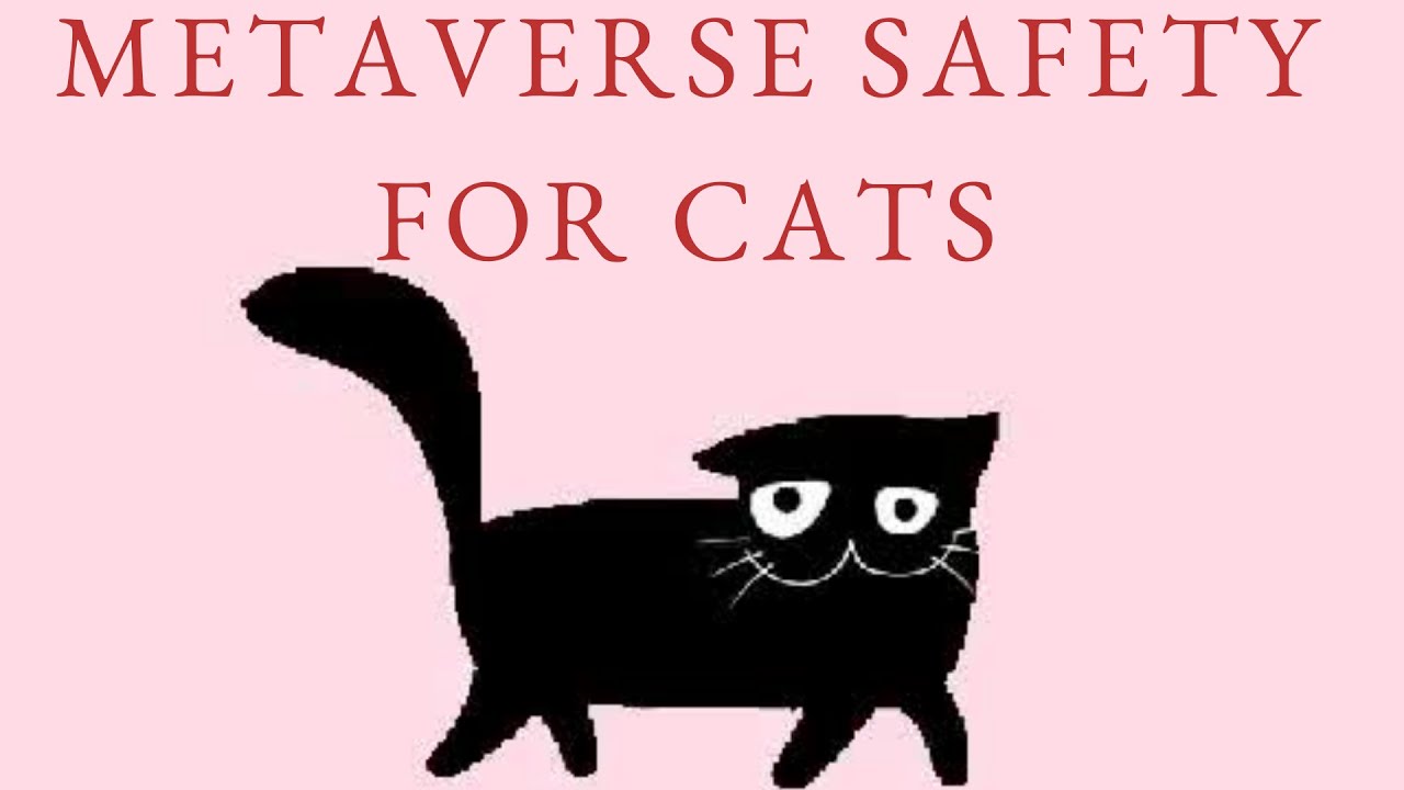 How Can We Make The Metaverse Safe for Cats?