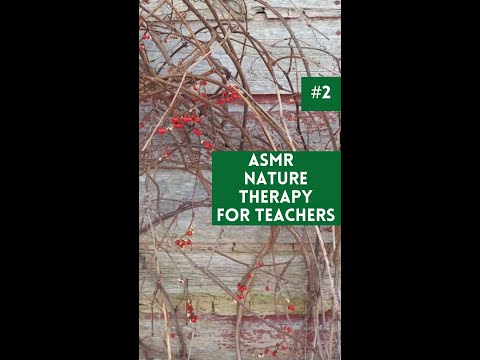 ASMR Nature Therapy For Teachers Bittersweet #shorts