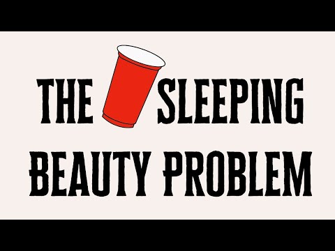 The Sleeping Beauty Problem Explainer