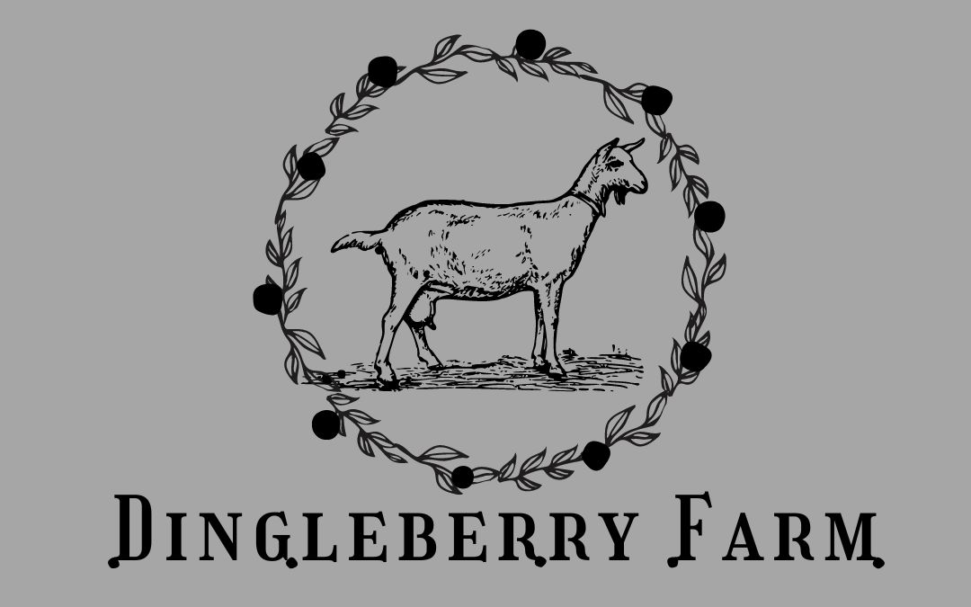 What I Learned On My Internship At Dingleberry Farm