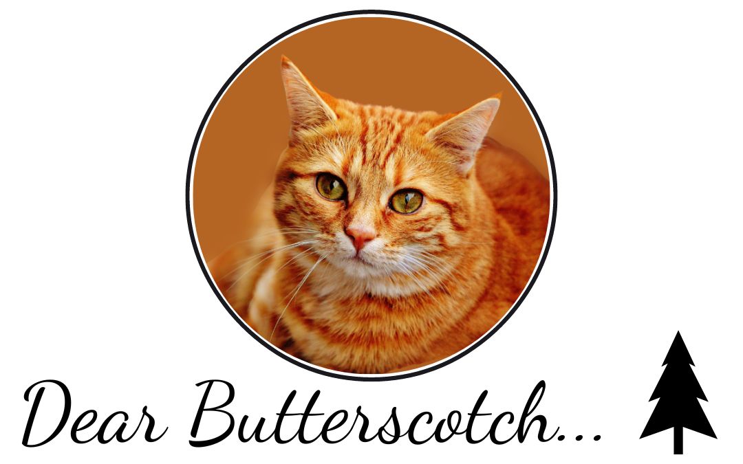 Dear Butterscotch: My Batshit Mother-in-Law Scratched Me