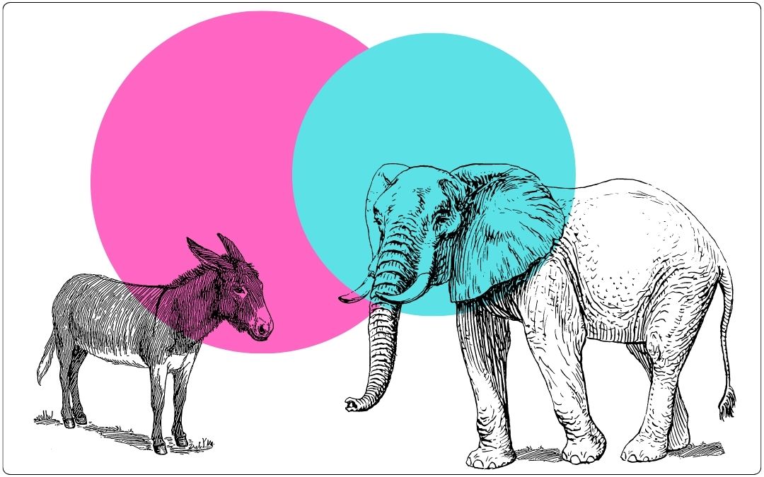 What Democrats and Republicans Have In Common