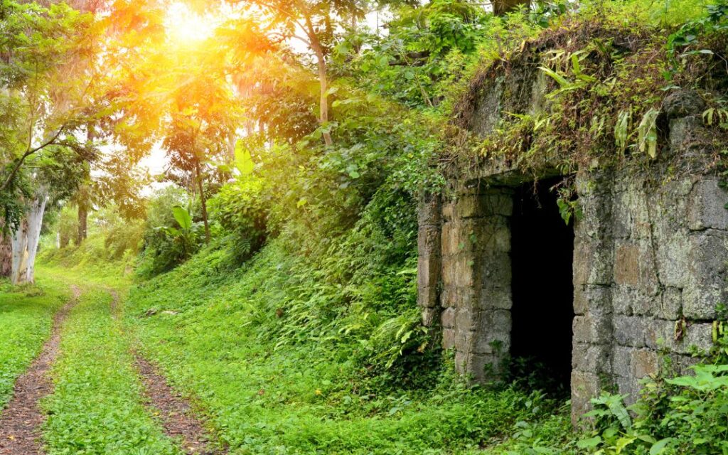 Dark Academic Garden Decor Stone crypt underground root cellar