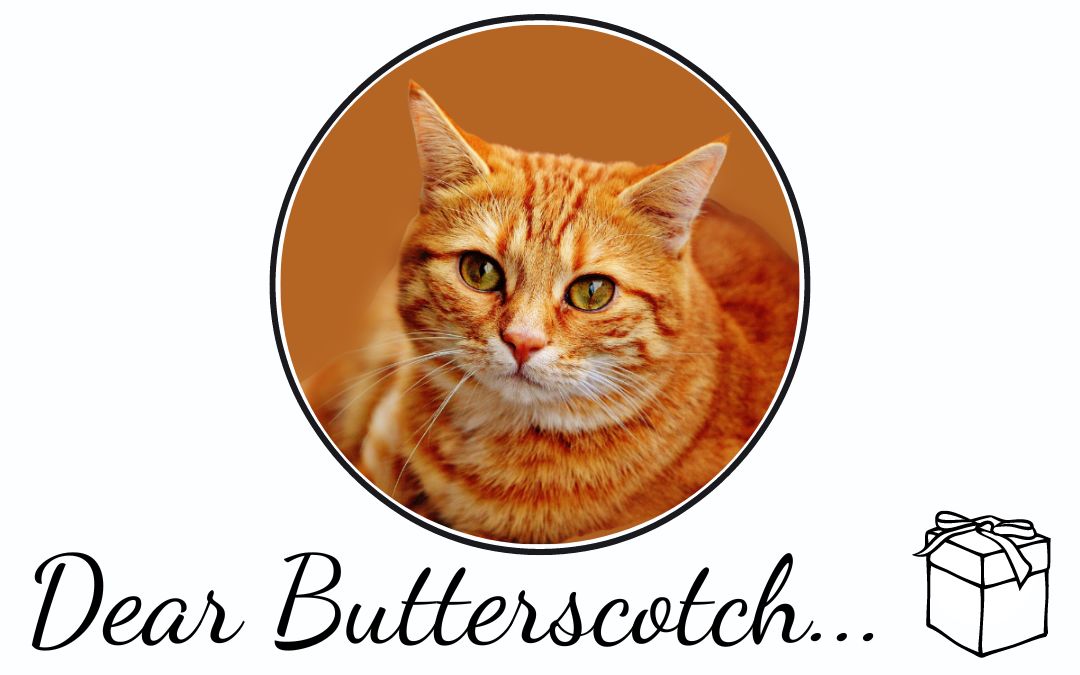 Dear Butterscotch: Forced Gratitude Is Servitude