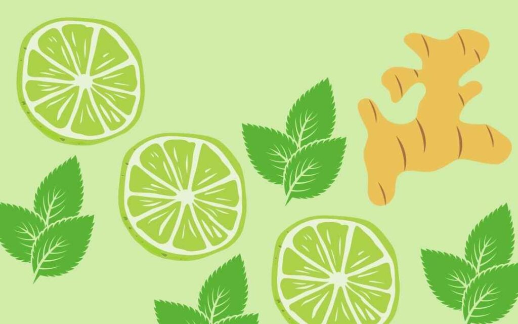 Graphic of cut limes, mint leaves and garlic root on a light green background illustrates the expensive ingredients for Moscow Mule cocktails in dinner parties in the 2010s